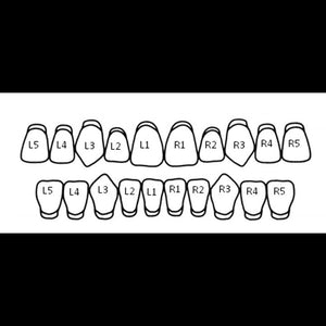 Cyber Fang Double Cap Grillz