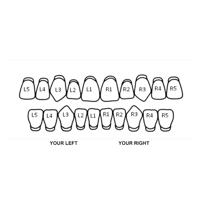 Bow Outline Double Cap Grillz